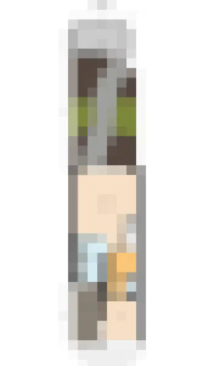 Bark 4 Schipluiden thumbnail 39
