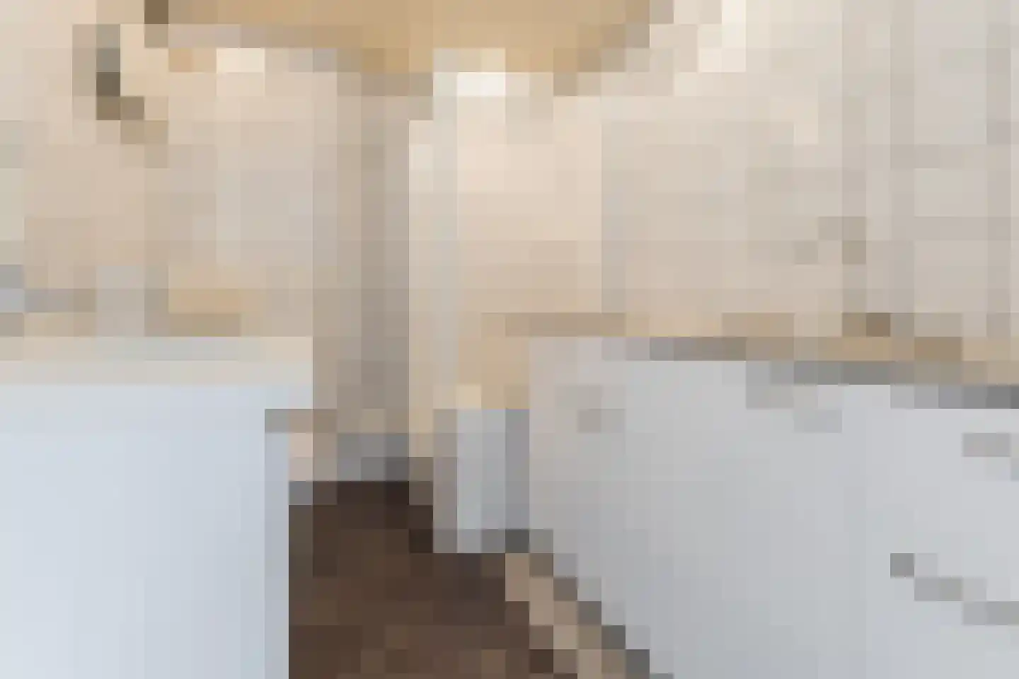 Bark 4 Schipluiden thumbnail 5