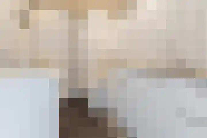 Bark 4 Schipluiden thumbnail 5