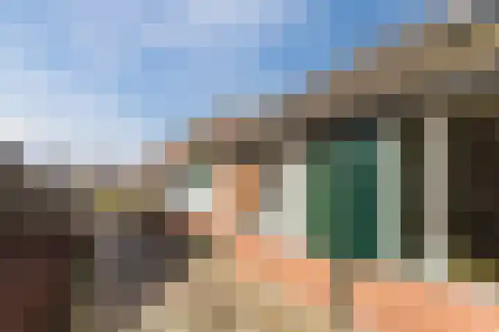 Bark 4 Schipluiden thumbnail 6