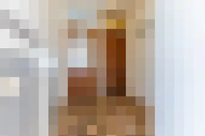 Bark 4 Schipluiden thumbnail 7