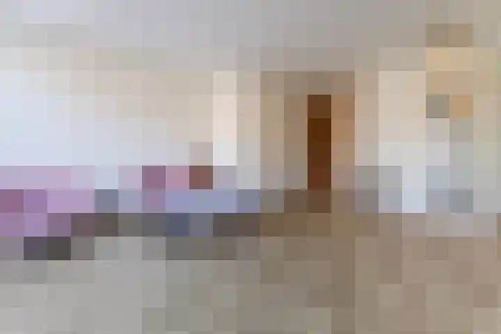 Bark 4 Schipluiden thumbnail 9