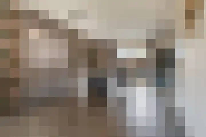 Bark 6 Nieuwe Pekela thumbnail 12
