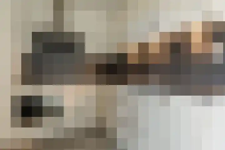 Bark 6 Nieuwe Pekela thumbnail 14