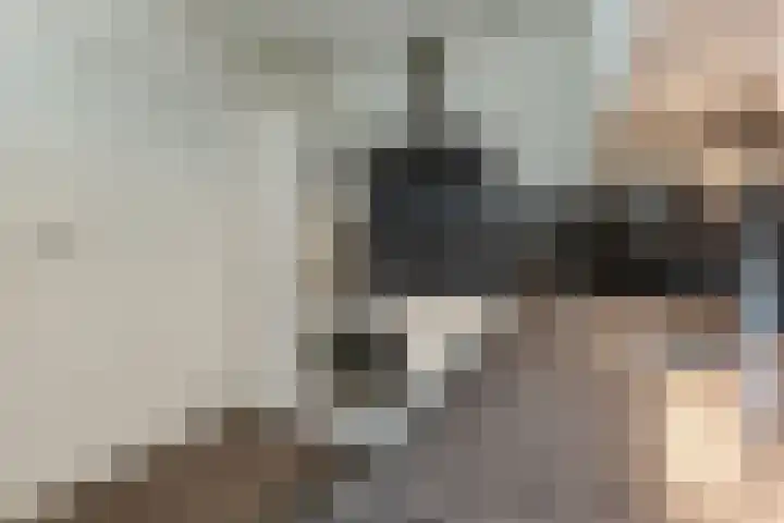 Bark 6 Nieuwe Pekela thumbnail 15