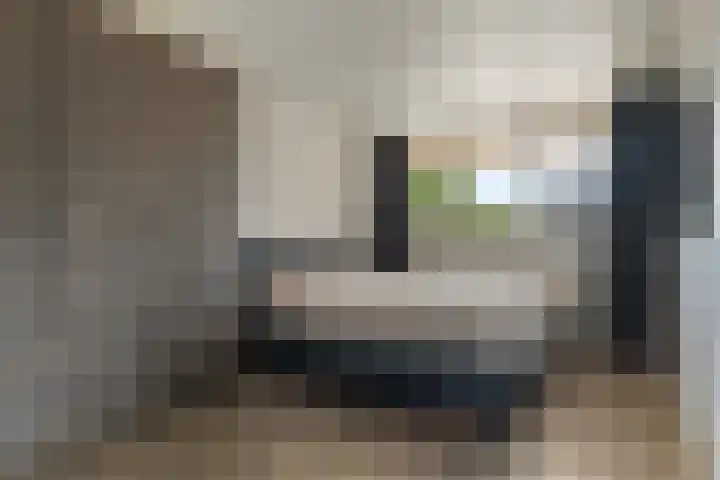 Bark 6 Nieuwe Pekela thumbnail 16