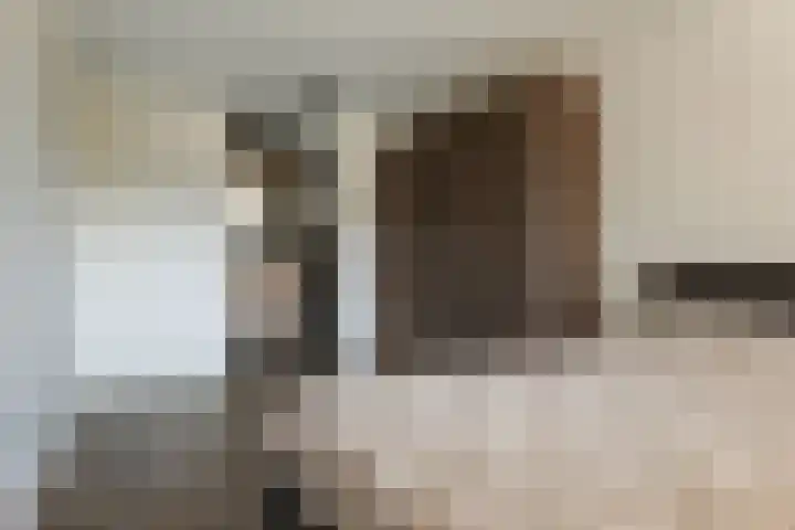 Bark 6 Nieuwe Pekela thumbnail 17