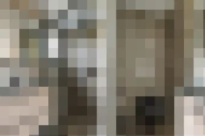 Bark 6 Nieuwe Pekela thumbnail 18