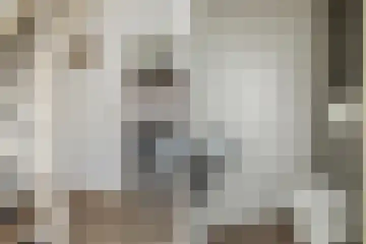 Bark 6 Nieuwe Pekela thumbnail 19