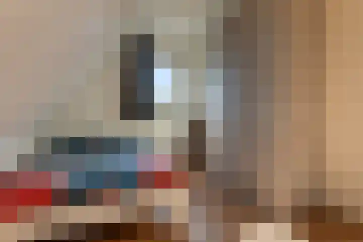 Bark 6 Nieuwe Pekela thumbnail 20