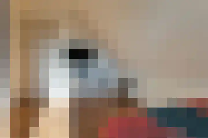 Bark 6 Nieuwe Pekela thumbnail 21