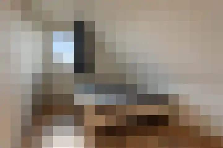 Bark 6 Nieuwe Pekela thumbnail 22