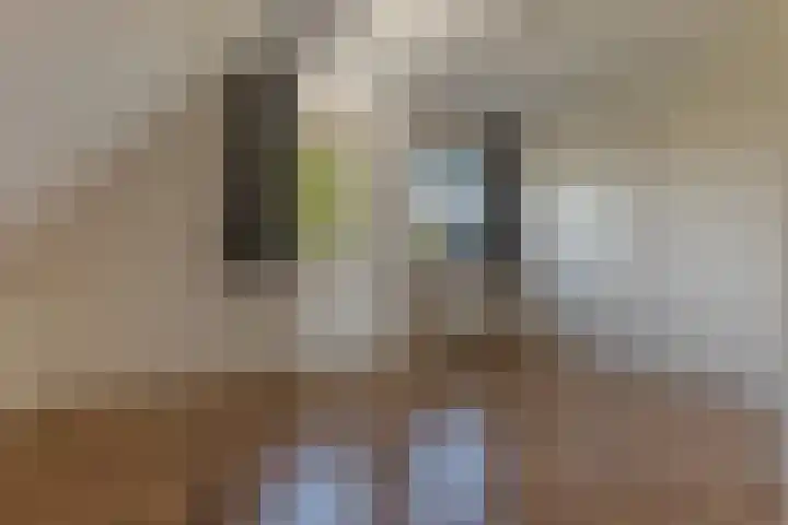 Bark 6 Nieuwe Pekela thumbnail 23