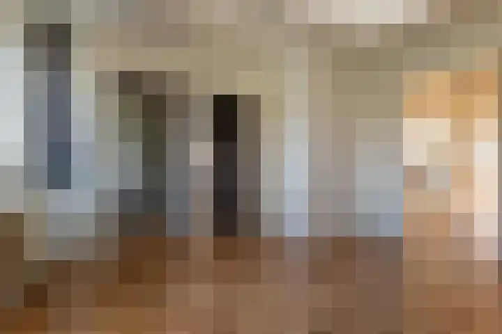 Bark 6 Nieuwe Pekela thumbnail 24