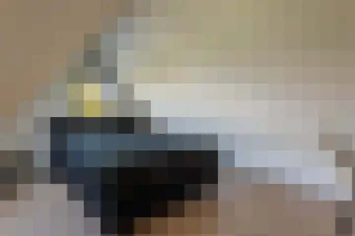 Bark 6 Nieuwe Pekela thumbnail 25