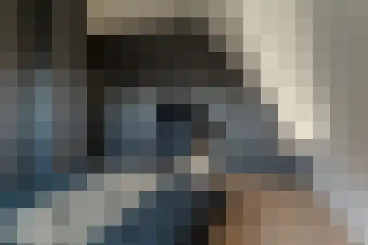 Bark 6 Nieuwe Pekela thumbnail 28