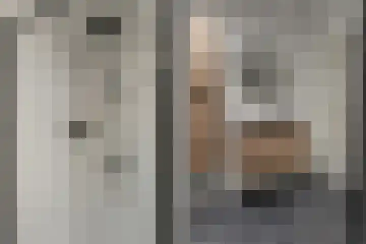 Bark 6 Nieuwe Pekela thumbnail 30