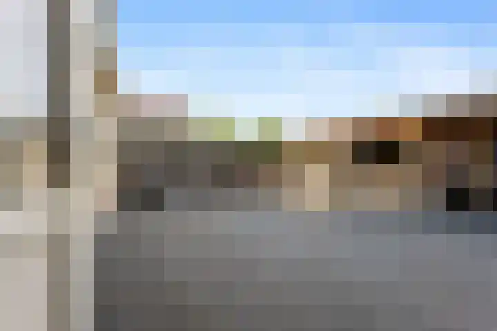 Bark 6 Nieuwe Pekela thumbnail 33