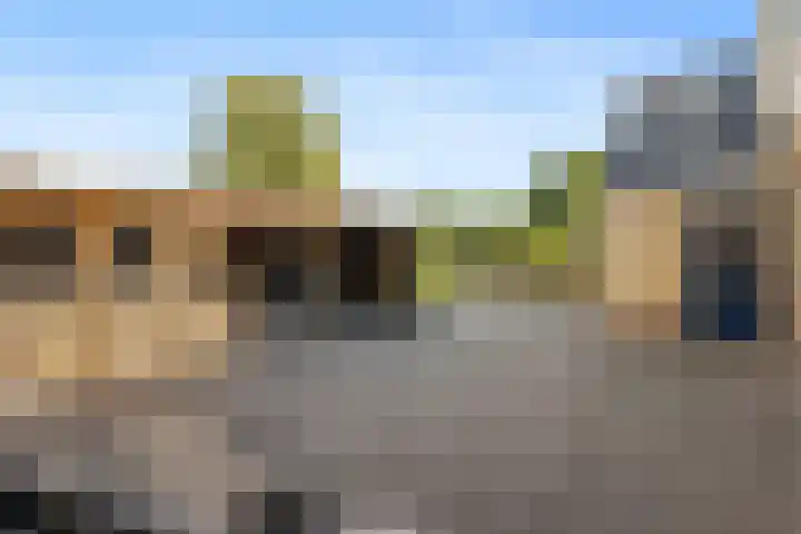 Bark 6 Nieuwe Pekela thumbnail 34