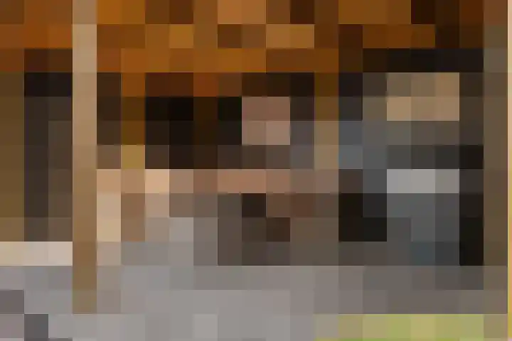 Bark 6 Nieuwe Pekela thumbnail 35