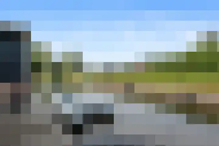 Bark 6 Nieuwe Pekela thumbnail 36