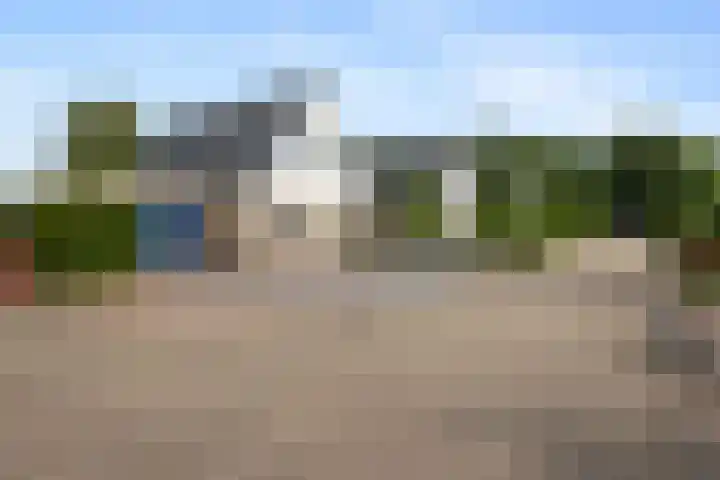 Bark 6 Nieuwe Pekela thumbnail 37