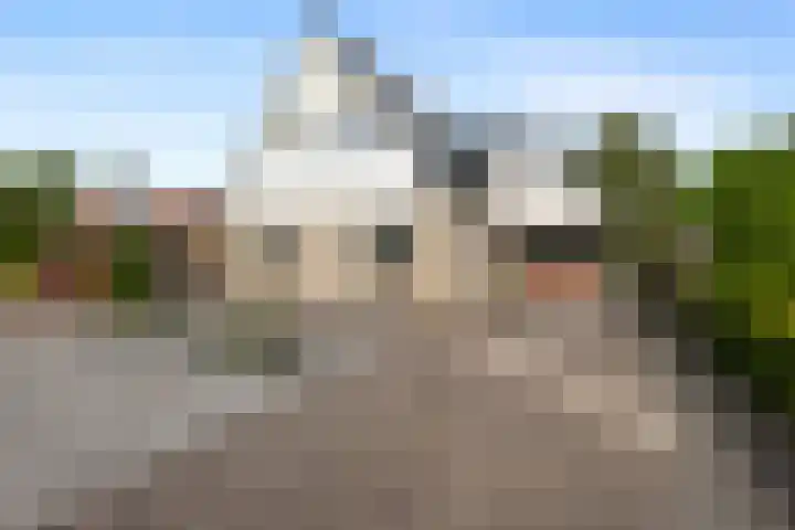 Bark 6 Nieuwe Pekela thumbnail 39