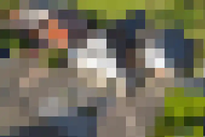 Bark 6 Nieuwe Pekela thumbnail 40