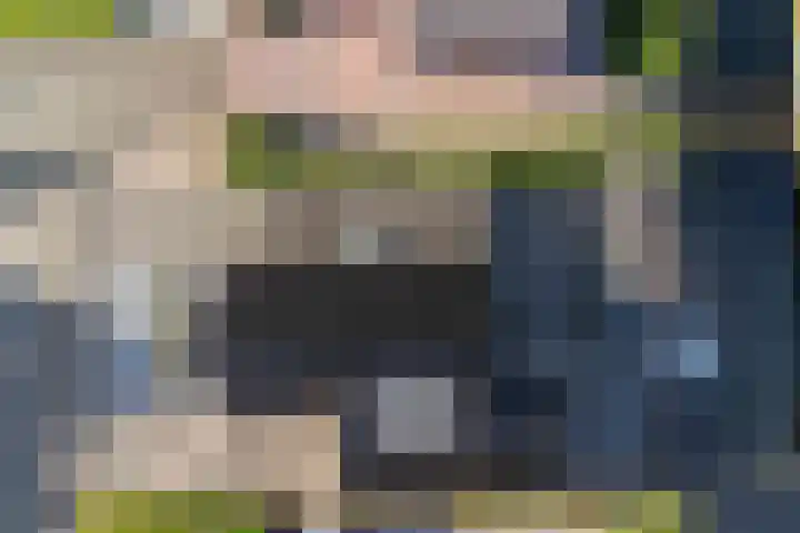 Bark 6 Nieuwe Pekela thumbnail 41