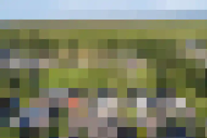 Bark 6 Nieuwe Pekela thumbnail 42