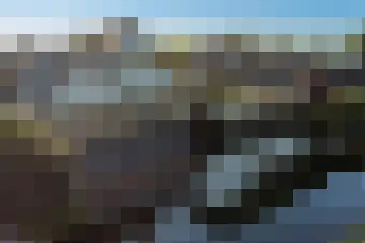 Bark 6 Nieuwe Pekela thumbnail 44