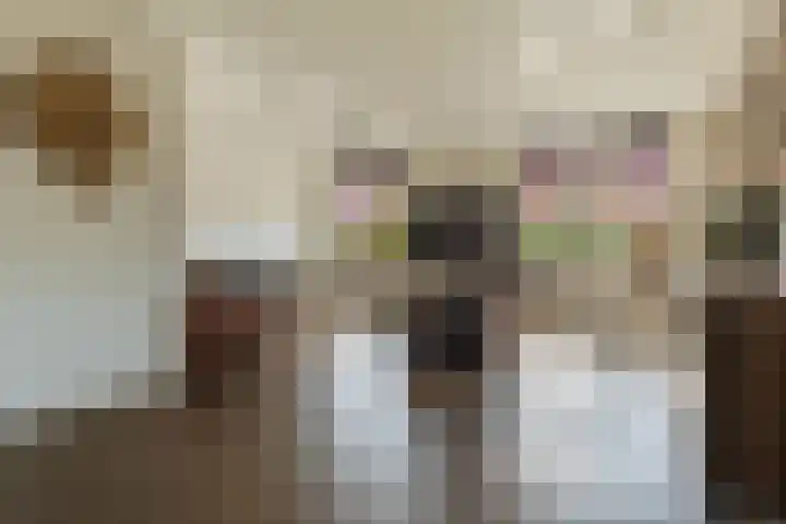 Bark 6 Nieuwe Pekela thumbnail 8