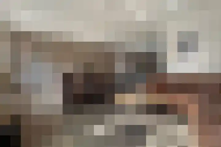 Bark 6 Nieuwe Pekela thumbnail 9