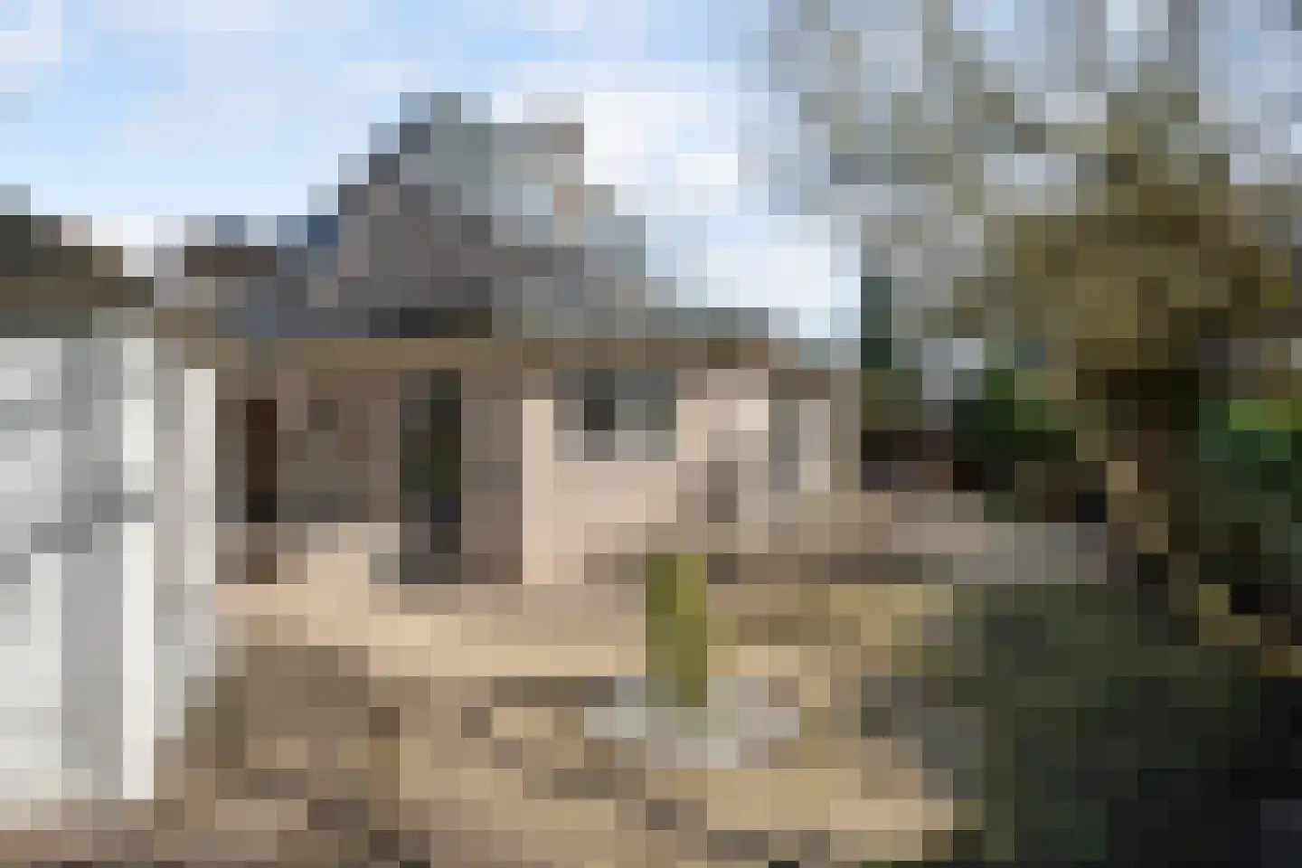 Bark 65 Barendrecht thumbnail 27