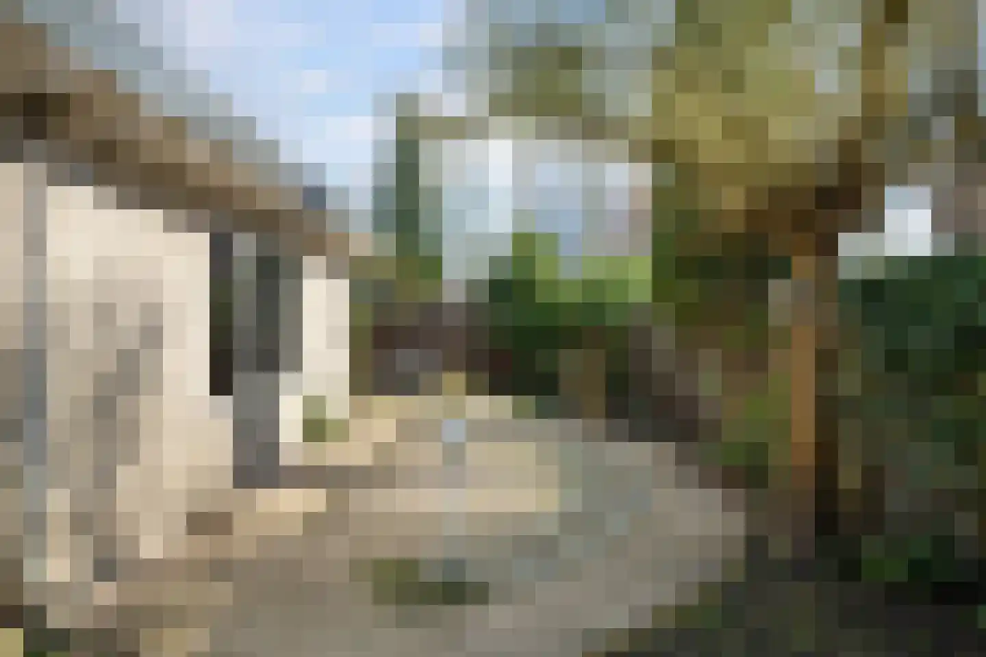 Bark 65 Barendrecht thumbnail 28