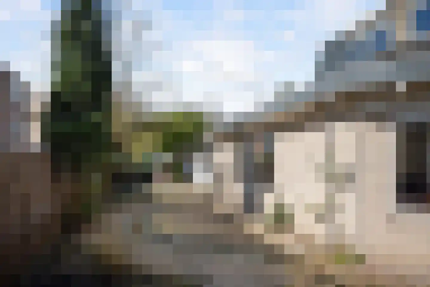 Bark 65 Barendrecht thumbnail 29