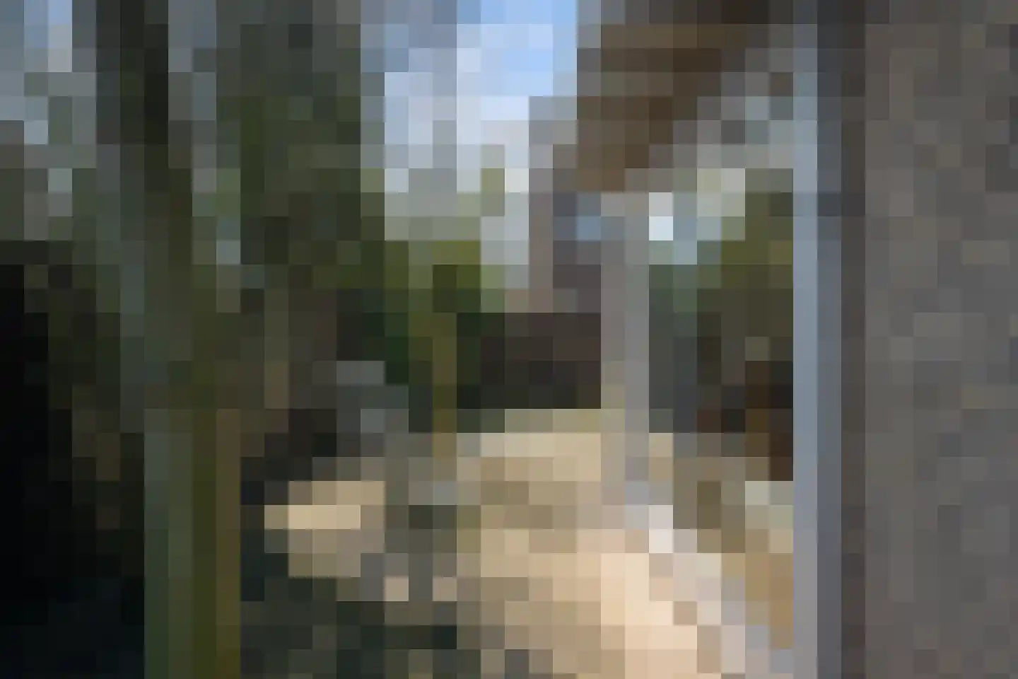 Bark 65 Barendrecht thumbnail 30