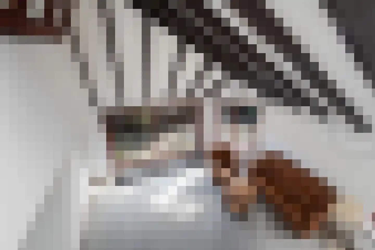Bark 65 Barendrecht thumbnail 9