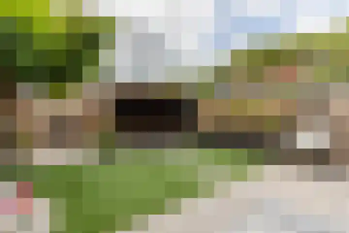 Bark 76 Barendrecht thumbnail 25