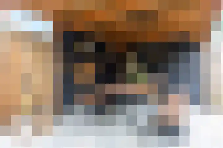Bark 76 Barendrecht thumbnail 27