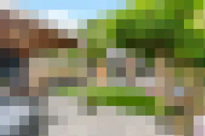 Bark 76 Barendrecht thumbnail 29