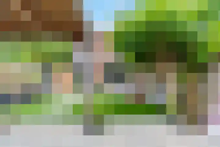 Bark 76 Barendrecht thumbnail 30