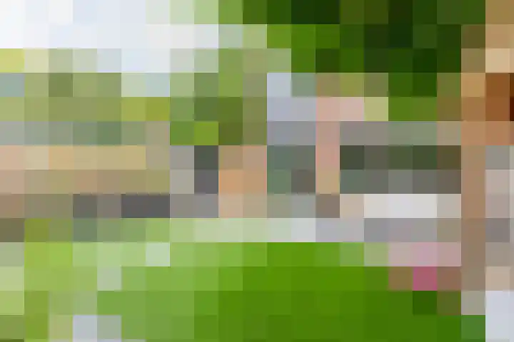 Bark 76 Barendrecht thumbnail 31