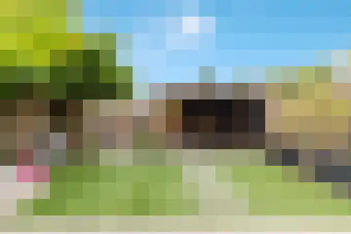 Bark 76 Barendrecht thumbnail 32