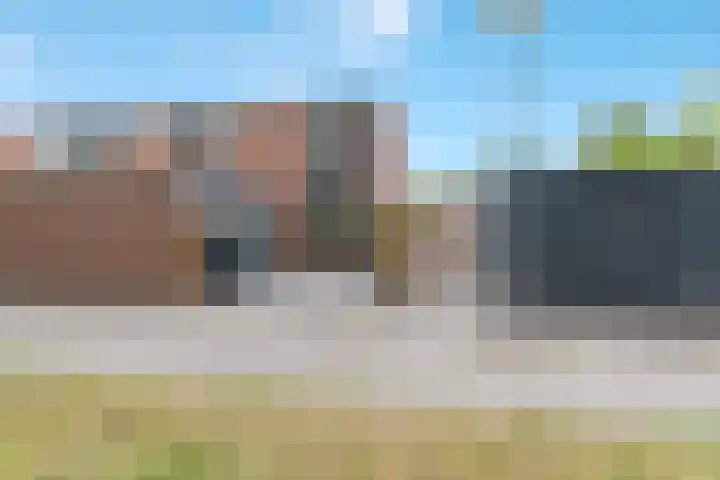 Bark 76 Barendrecht thumbnail 33