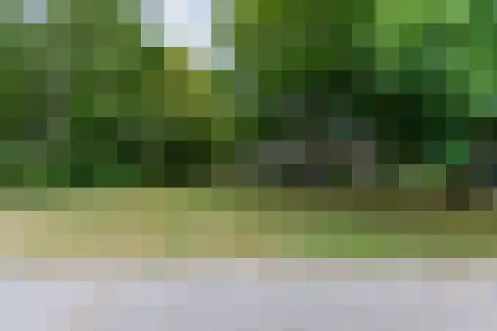 Bark 76 Barendrecht thumbnail 38
