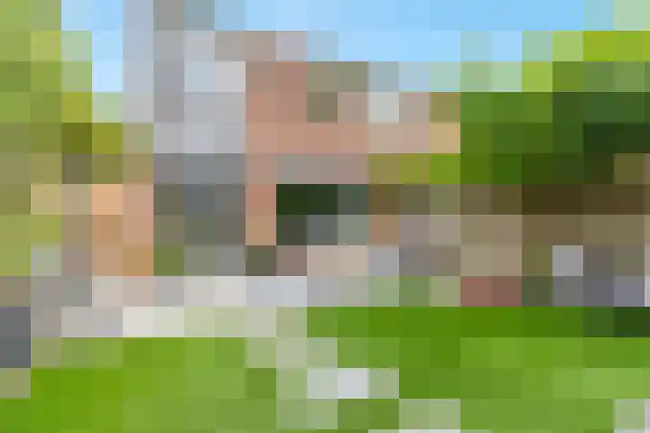 Bark 76 Barendrecht thumbnail 42