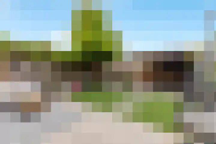 Bark 76 Barendrecht thumbnail 5