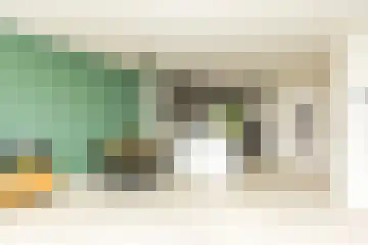 Bark 76 Barendrecht thumbnail 8