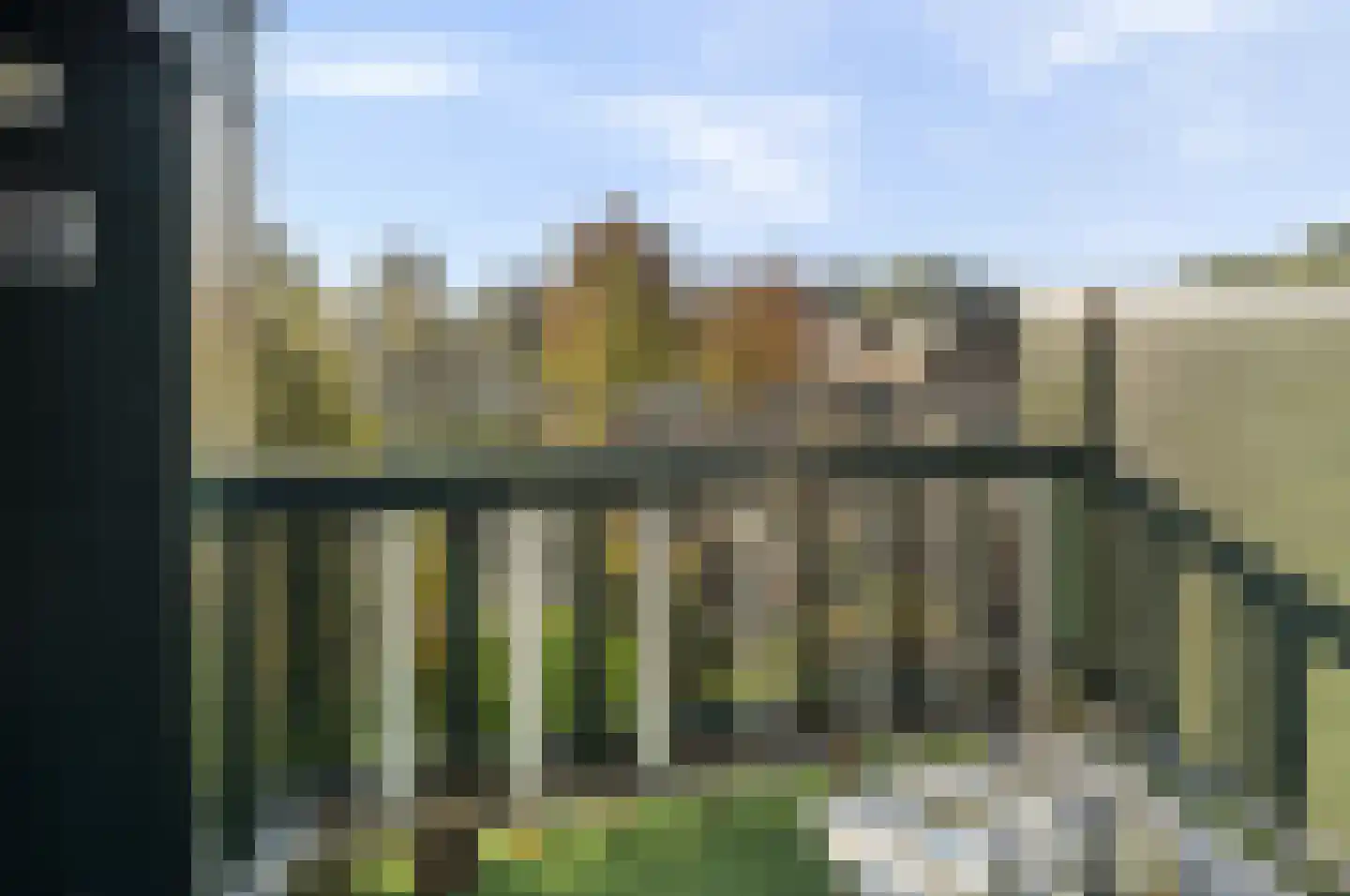 Bark 82 Barendrecht thumbnail 26